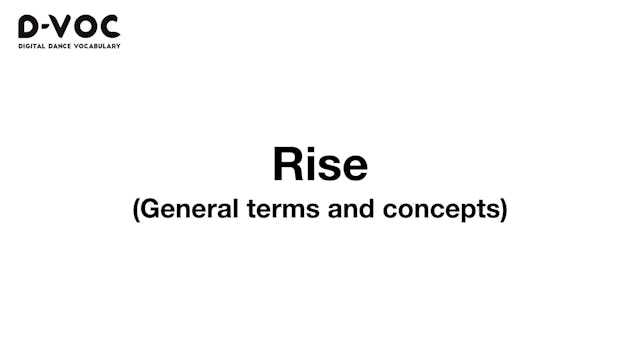 17 General terms - Rise MT