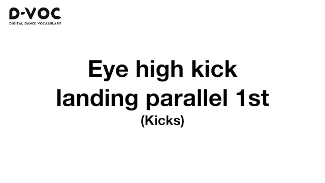 03 Kicks - Eye high kick landing para...