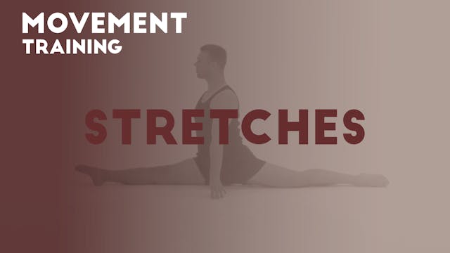 14 STRETCHES - Movement training