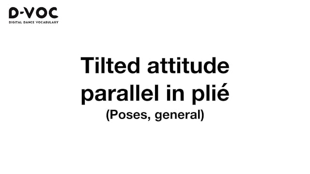 05 Poses general - Tilted attitude pa...