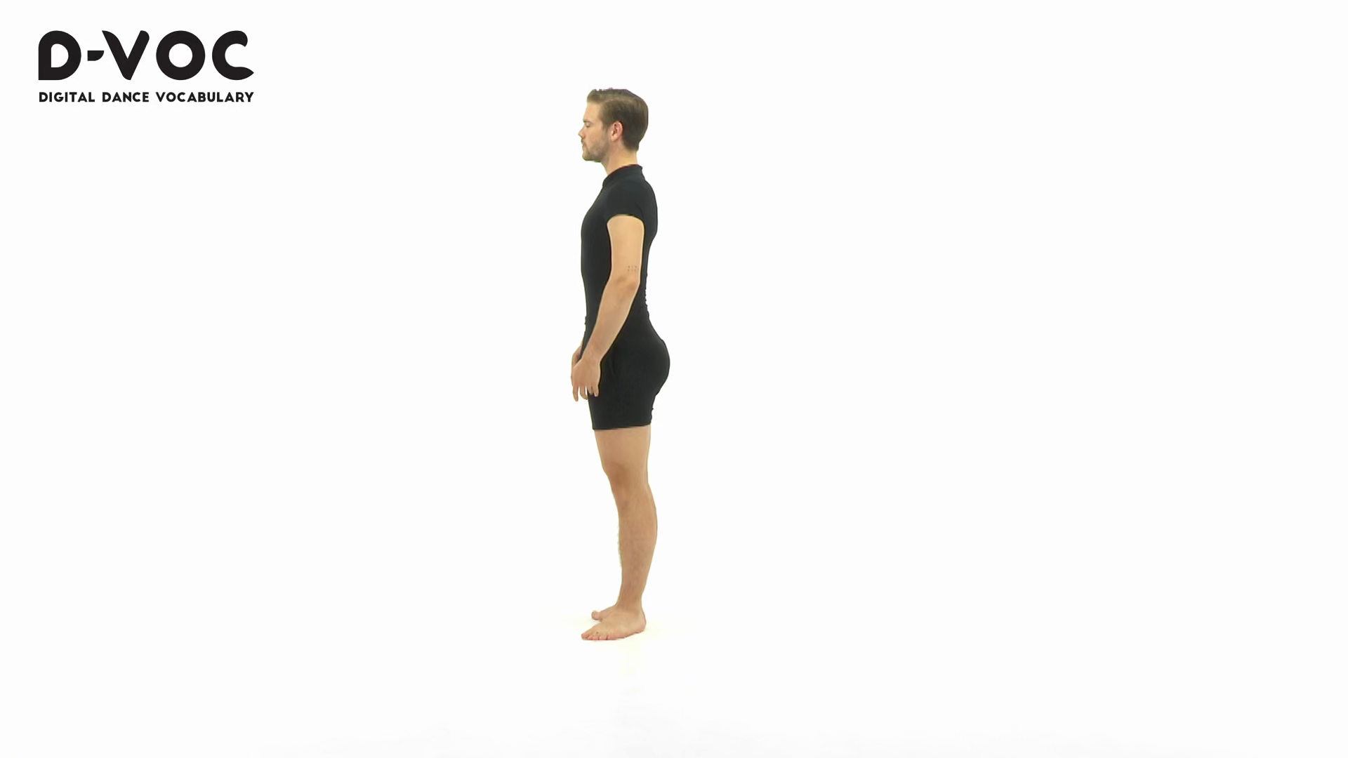 04 Warmup lunges - VT