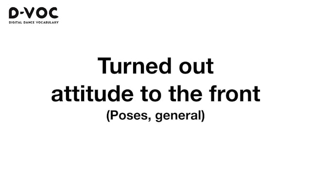 03 Poses general - Turned out attitud...