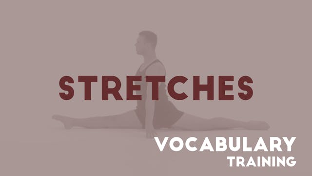 14 STRETCHES - Vocabulary training