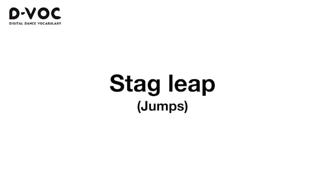 32 Jumps - Stag leap - MT