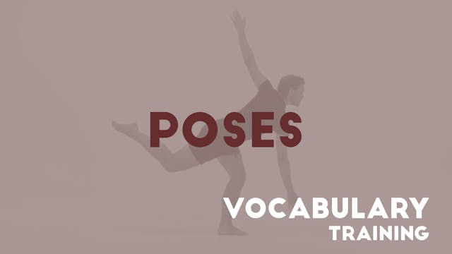 06 POSES - Vocabulary training