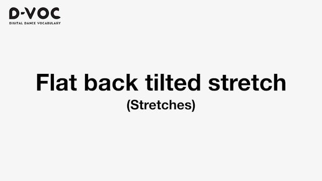 11 Stretches - Flat back tilted stret...