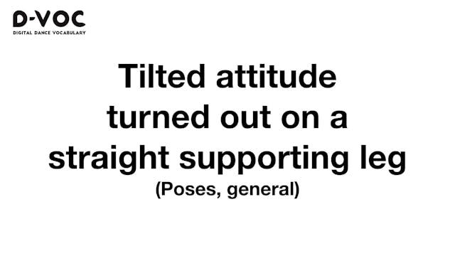 07 Poses general - Tilted attitude tu...