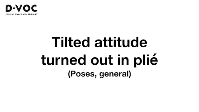 06 Poses general - Tilted attitude tu...