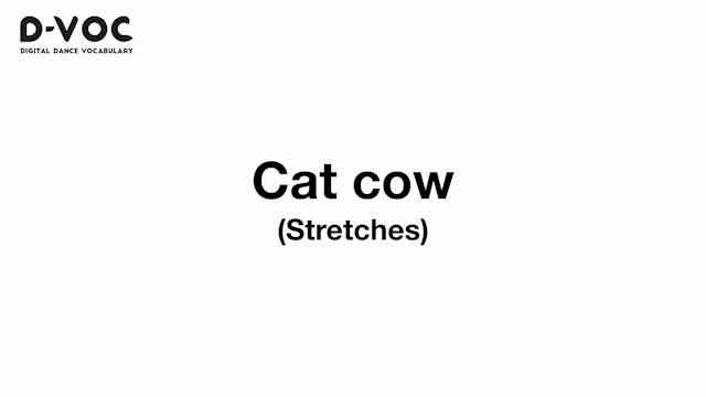 04 Stretches - Cat cow - MT