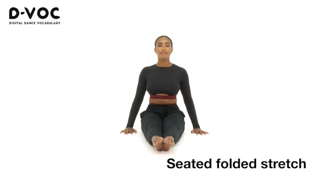 19 Stretches - Seated folded stretch