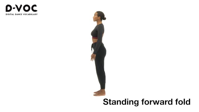 28 Stretches - Standing forward fold