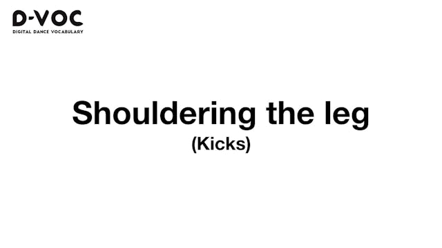 23 Kicks - Shouldering the leg - MT