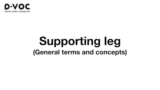 19 General terms - Supporting leg MT