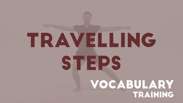 09 TRAVELLING STEPS - Vocabulary training