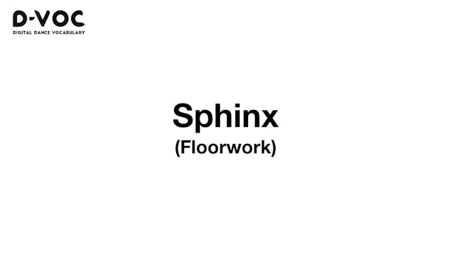 19 Floorwork - Sphinx - MT