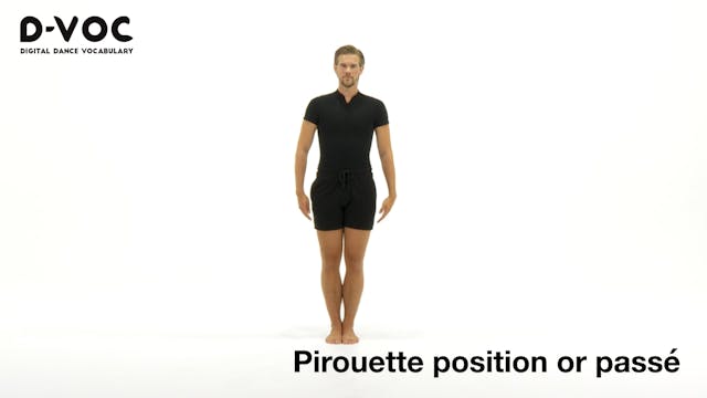 33 Turns - Pirouette position or passé