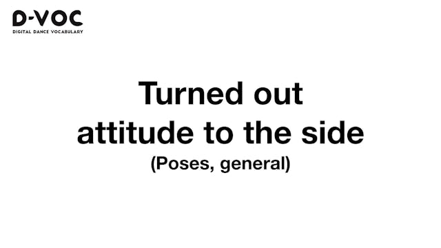 04 Poses general - Turned out attitud...