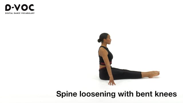 20 Floorwork - Spine loosening with b...