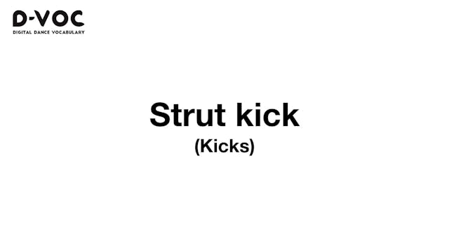 24 Kicks - Strut kick - MT