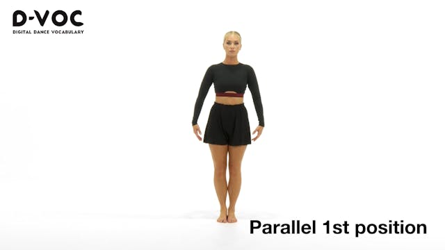 02 Positions of the feet - Parallel 1...