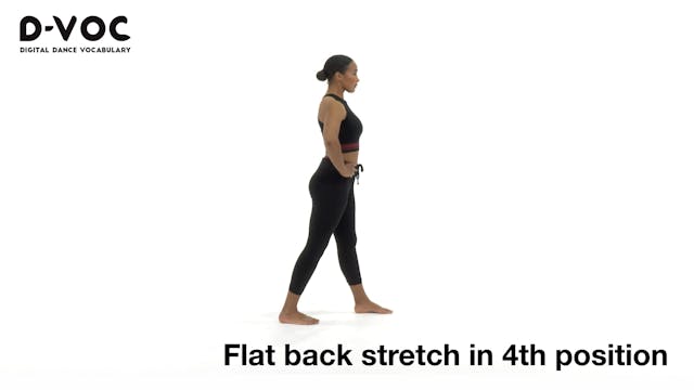 09 Stretches - Flat back stretch in 4...