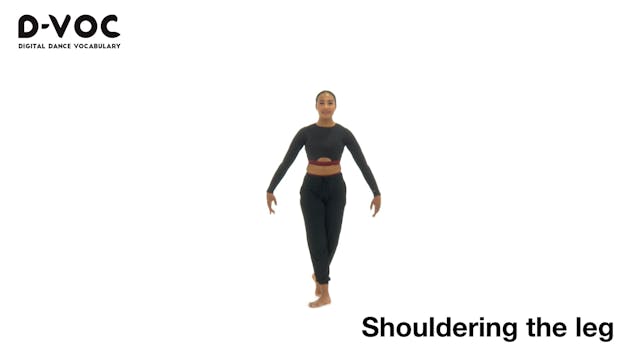 23 Kicks - Shouldering the leg