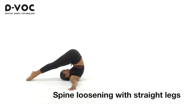 21 Floorwork - Spine loosening with s...