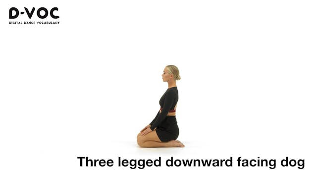 30 Stretches - Three legged downward ...