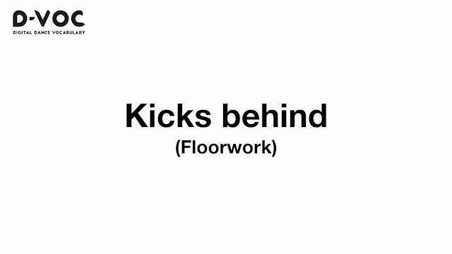 10 Floorwork - Kick behind - MT