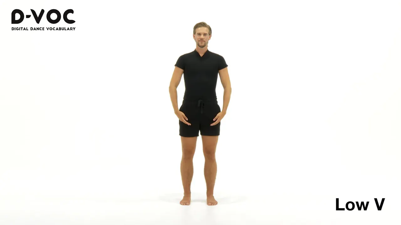 11 Position of the arms - Low V - 04 POSITIONS OF THE ARMS - D-VOC ...