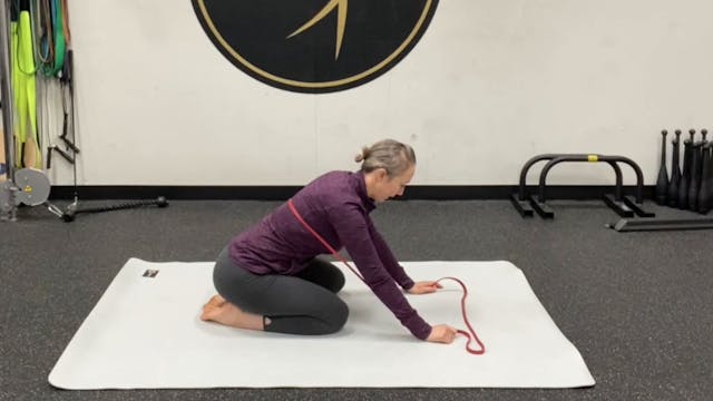 Collapsed quadruped thoracic segmenta...