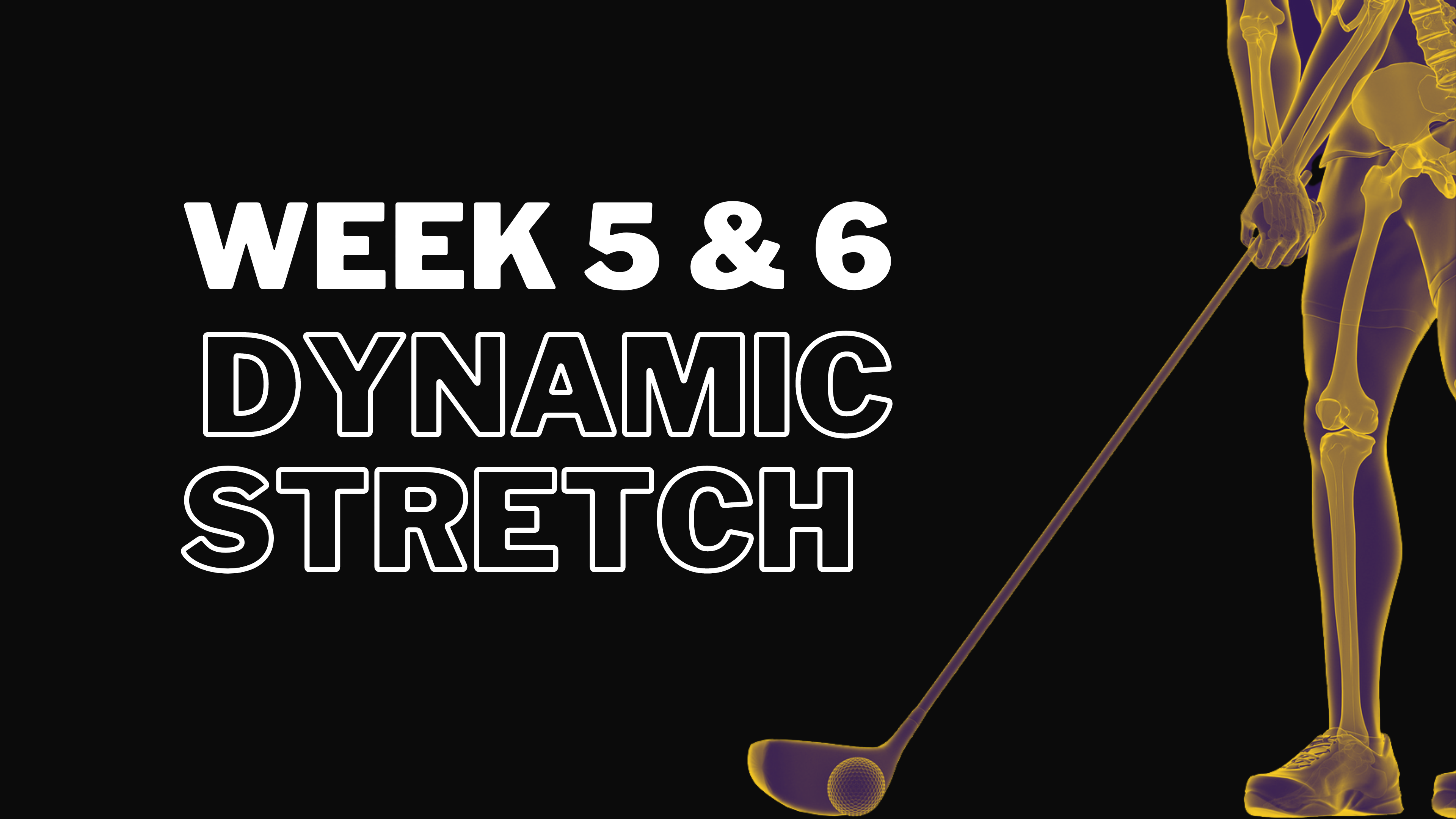 Week 5 & 6: Dynamic Stretch Classes