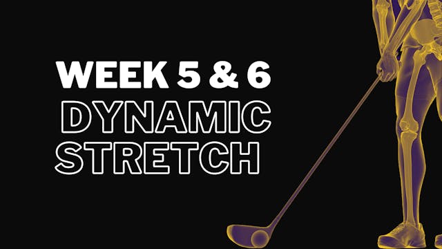Week 5 & 6: Dynamic Stretch Classes
