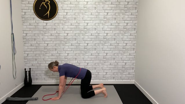 Lower back - moblity and strength