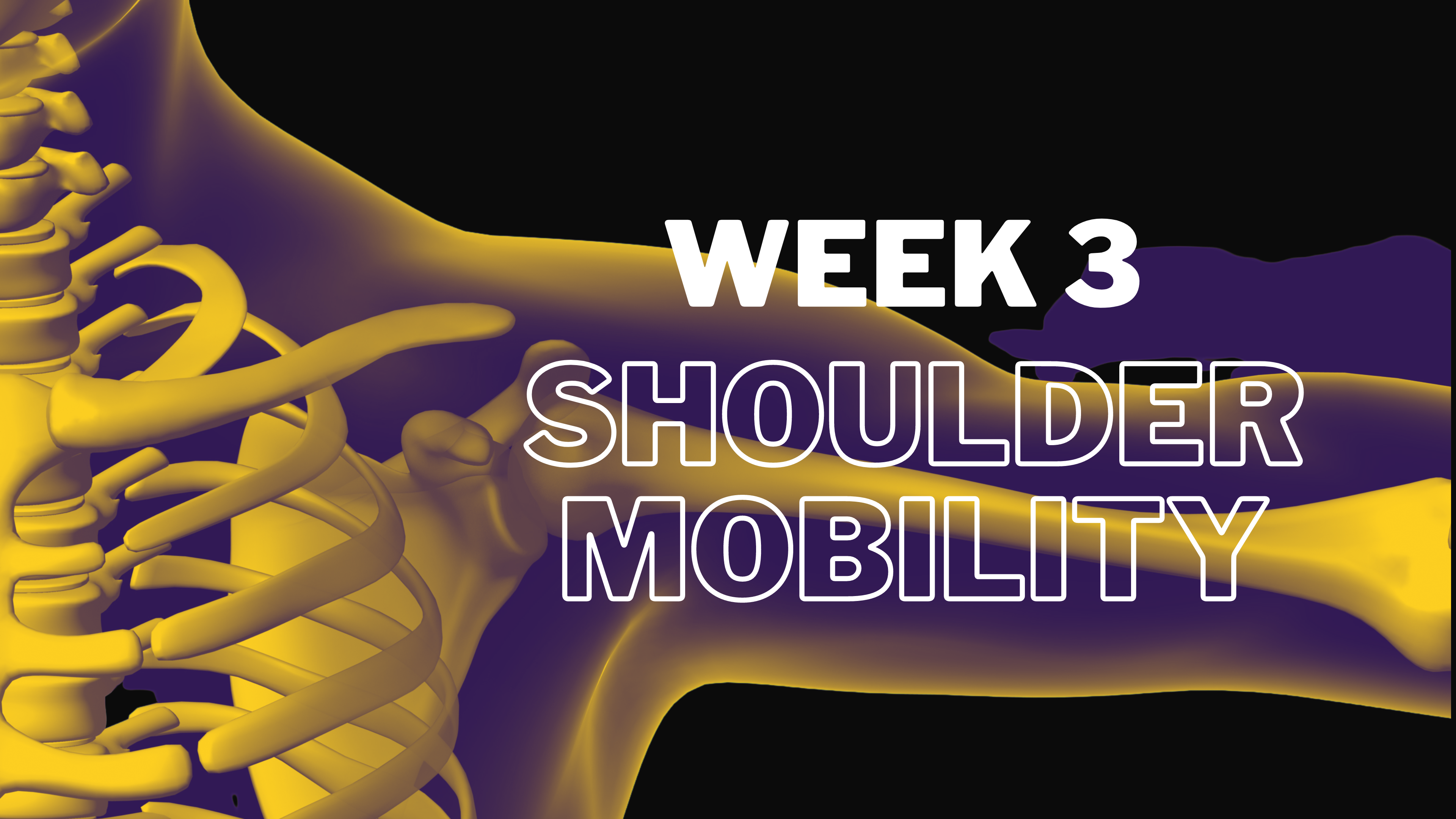 Week 3: Shoulder Mobility 