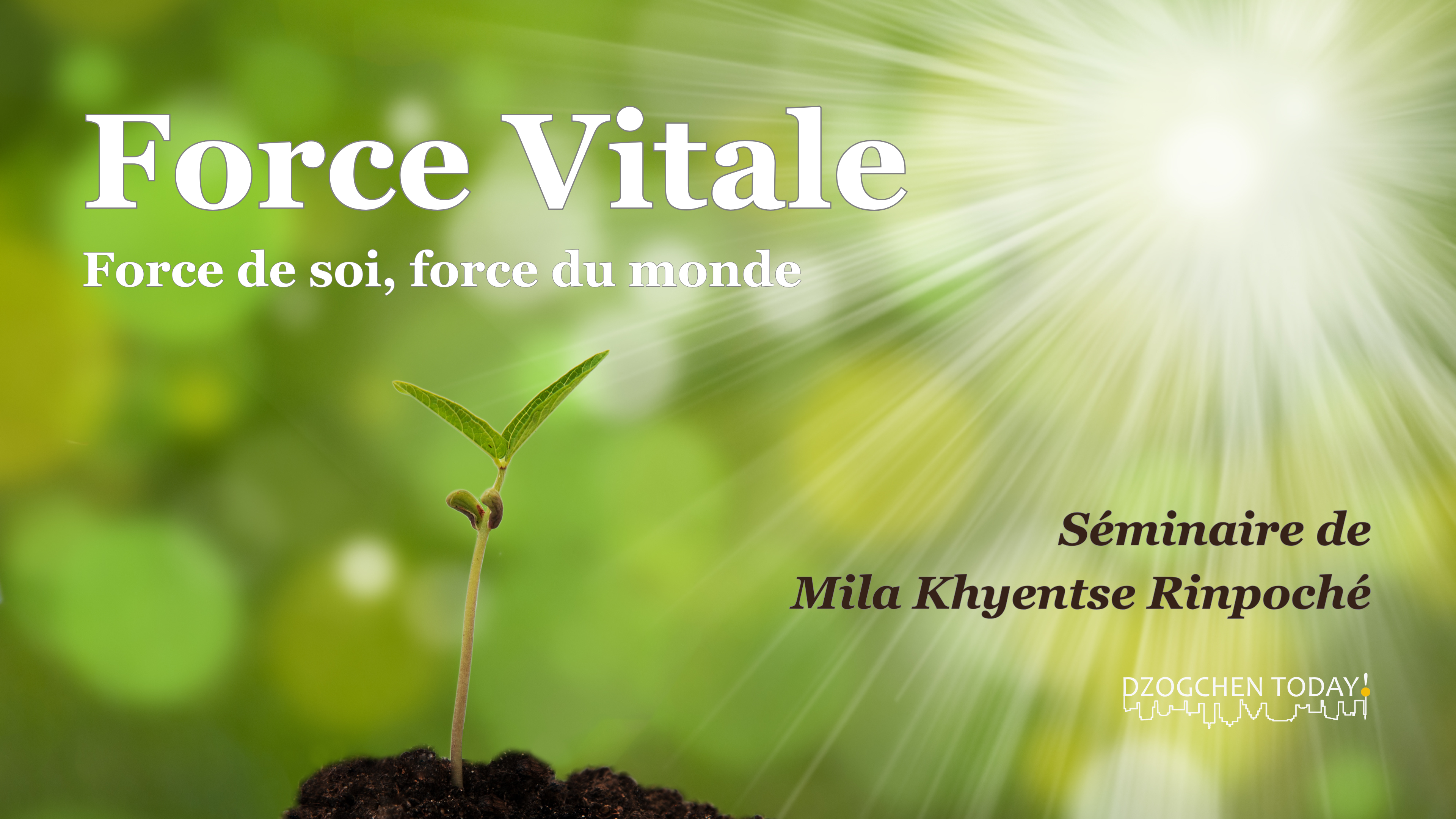 Force Vitale - Paris décembre 2024