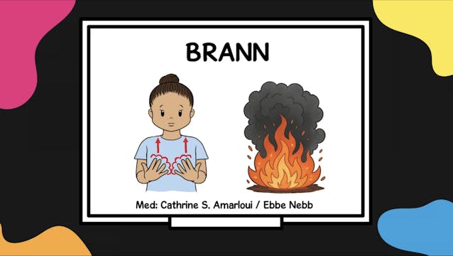 Brann