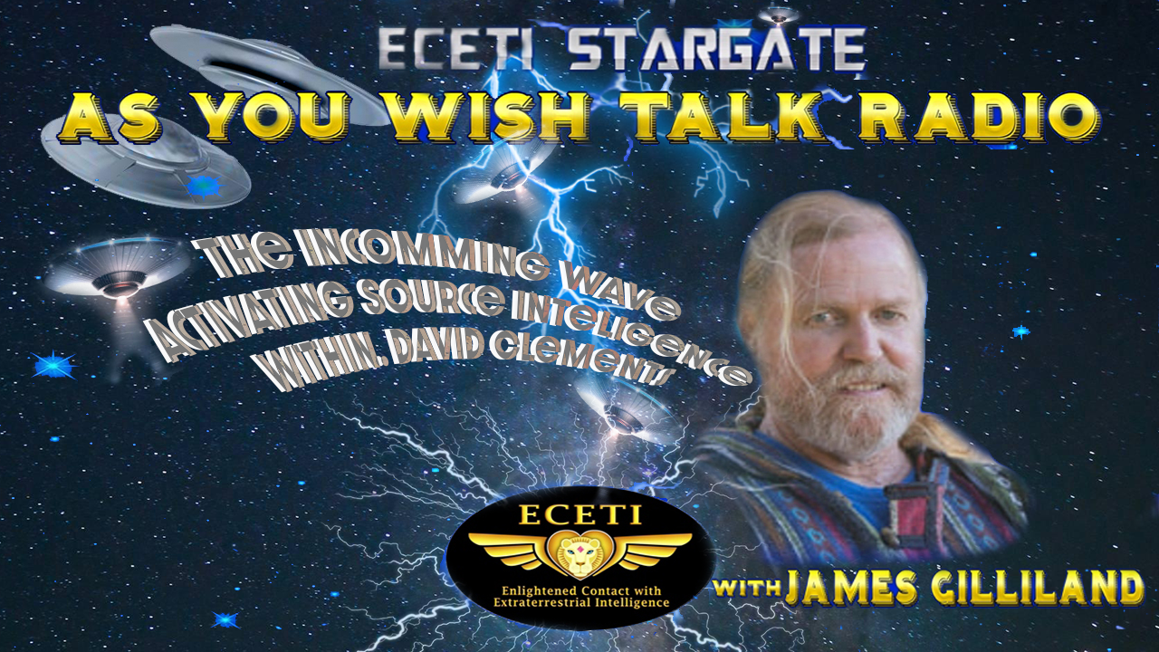 The Incomming Wave Activating Source Inteligence Within. David Clements