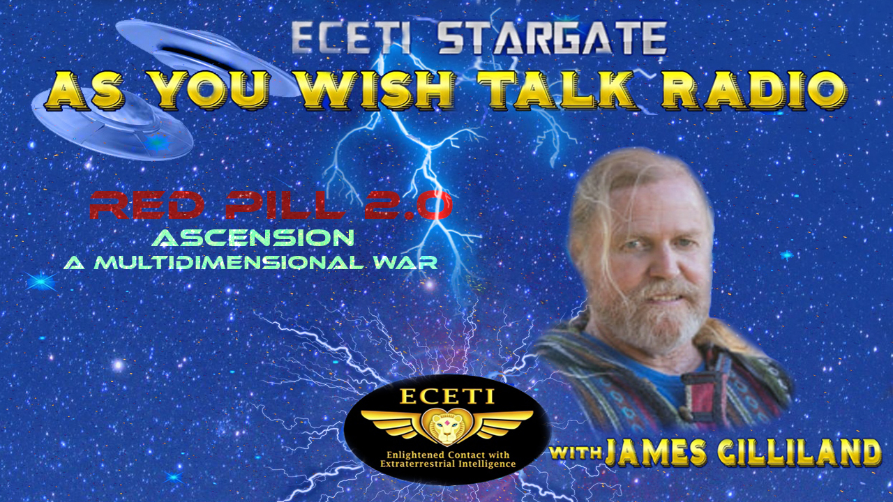 AYW RED PILL 2.0 ASCENSION A MULTIDIMENSIONAL WAR