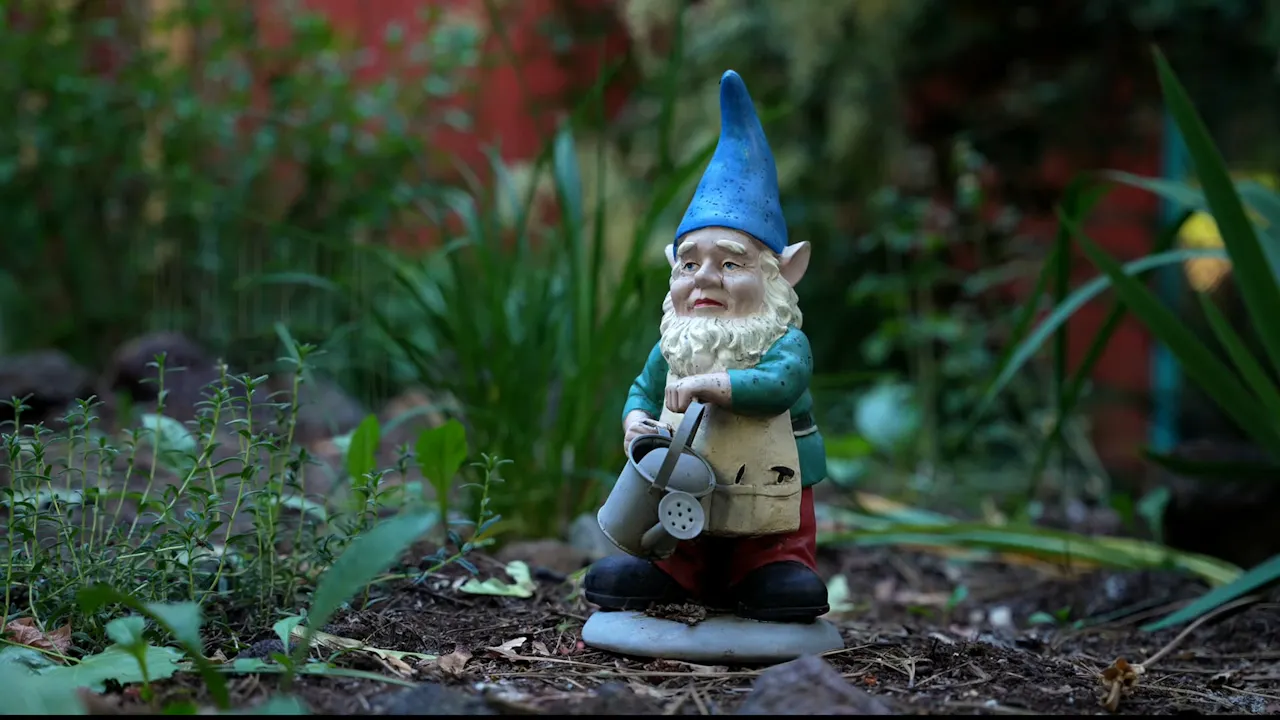Magical Garden at Eceti Ranch_1080p - ECETI Documentaries - ECETI ...