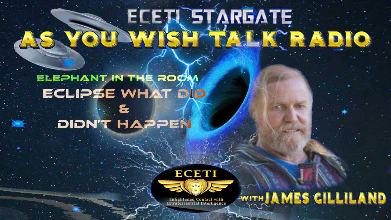 AYW~ ELEPHANT IN THE ROOM ECLIPSE WHAT DID & DIDNT HAPPEN - 04/14/2024, 04:00:40