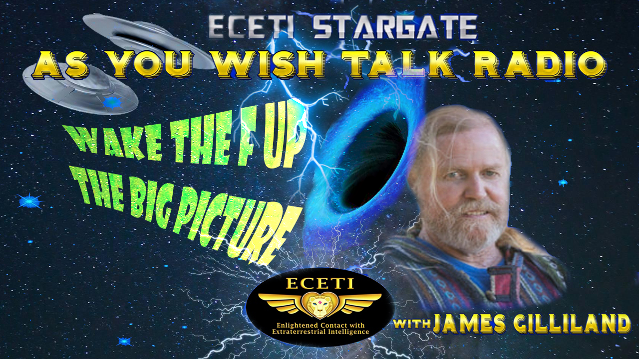 WAKE THE F UP THE BIG PICTURE