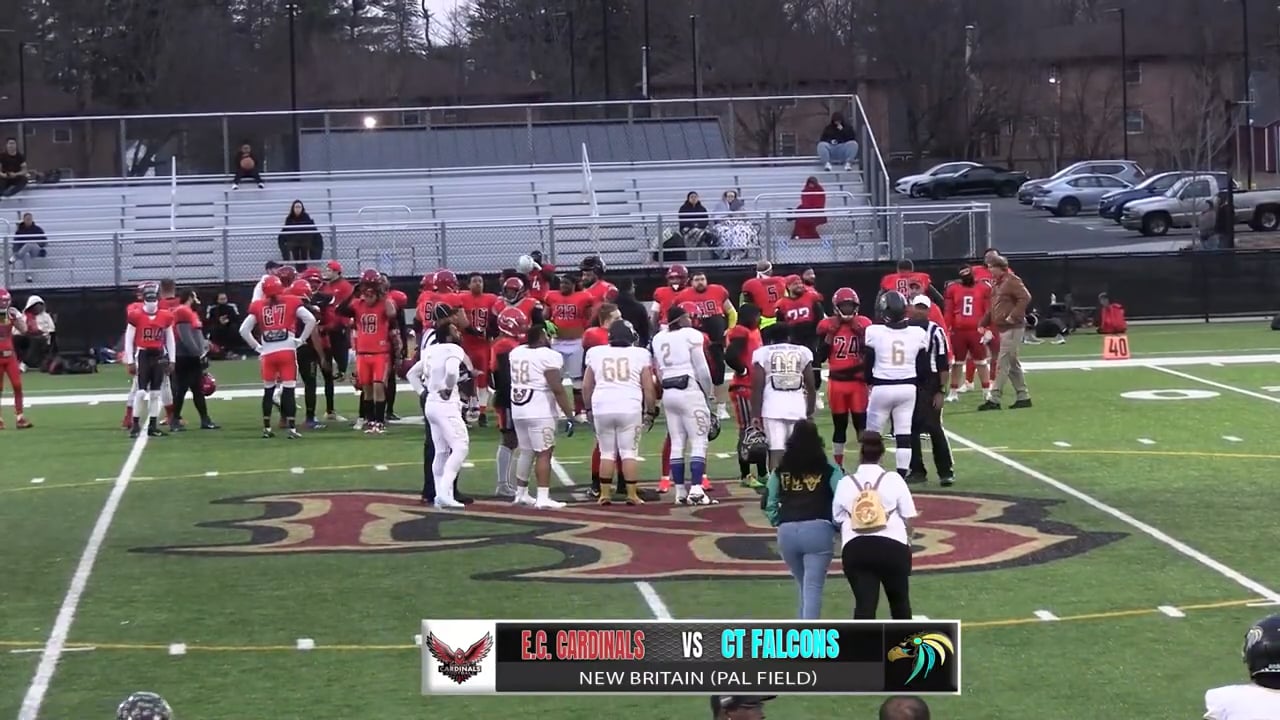 CARDINALS VS FALCONS - part 2