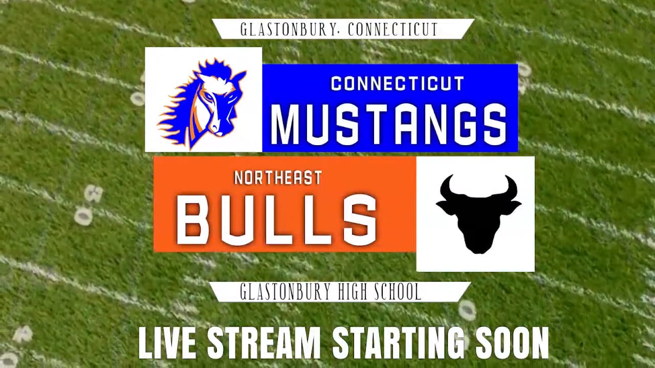 MUSTANG VS BULLS
