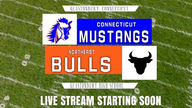 MUSTANG VS BULLS