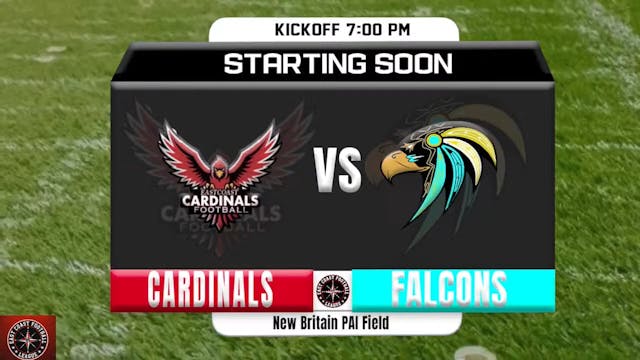 CARDINALS VS FALCONS