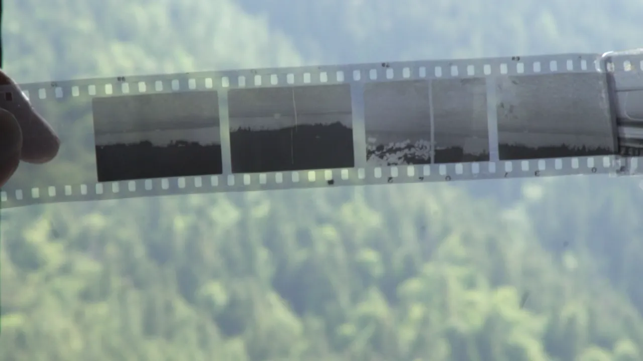 Smuggling is not a Sin#ilcontrrabbandononèpeccato