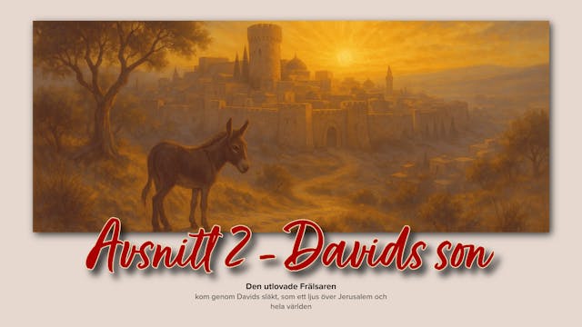 Adventkalender avsnitt 2 -Davids son