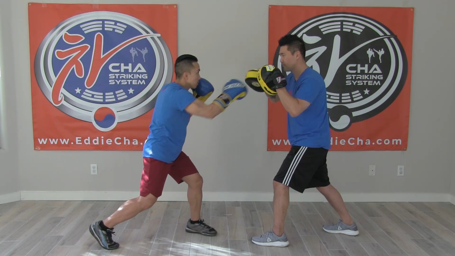 #1 Two Punch Combos with Pads