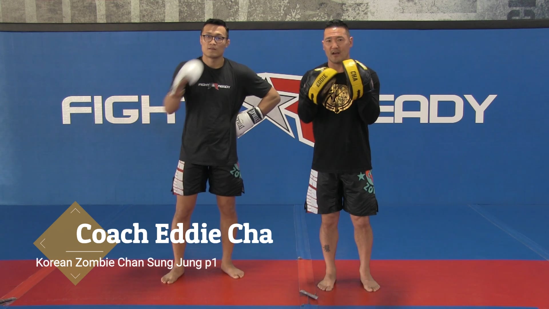 Drills and combos with Korean Zombie p1